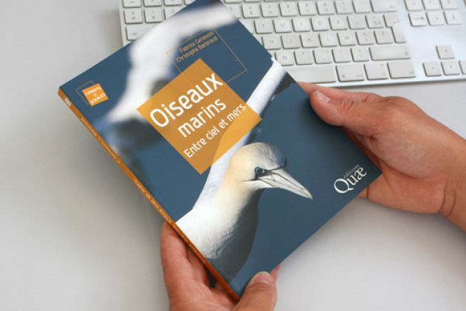 Le livre pour tout savoir sur les oiseaux marins