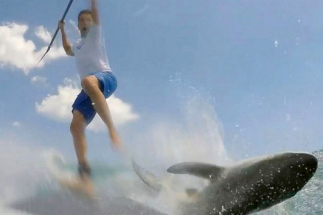 Maximo Trinidad rencontre un requin