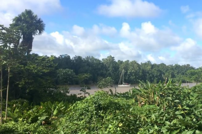 Une nuit dans la jungle guyanaise