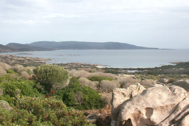 Vue du parc naturel de l'Asinara