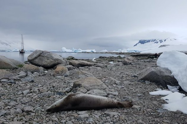 Aventures et msaventures en Antarctique, un matriel de scurit dfectueux