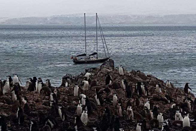 Aventures et msaventures en Antarctique : comment viter d'embarquer sur un voilier mal prpar ?