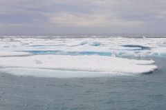 Le cur du Passage du Nord Ouest sur Opale (t 2019)