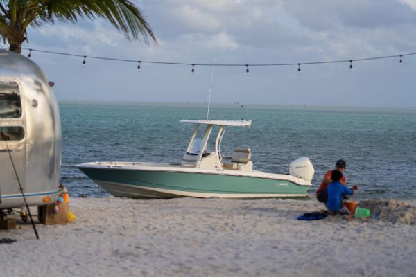 Boston Whaler 250 Dauntless, un bateau de pche familial