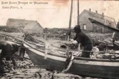 Doris  Saint-Pierre et Miquelon