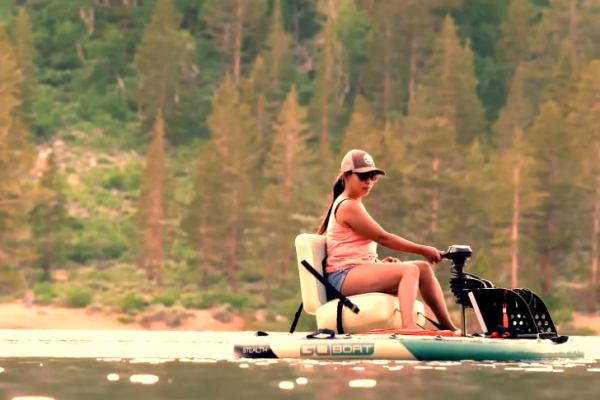 Solutions Innovantes Pour Une Imagerie Améliorée Avec Des Transducteurs