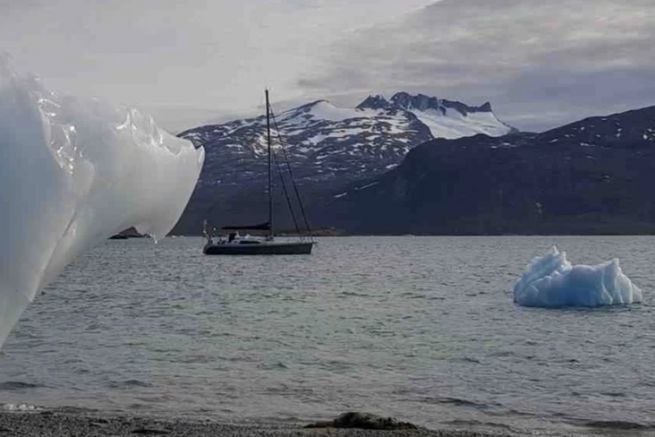 Opale  Qasaruk (fjord de Nuuk) en juillet 2019