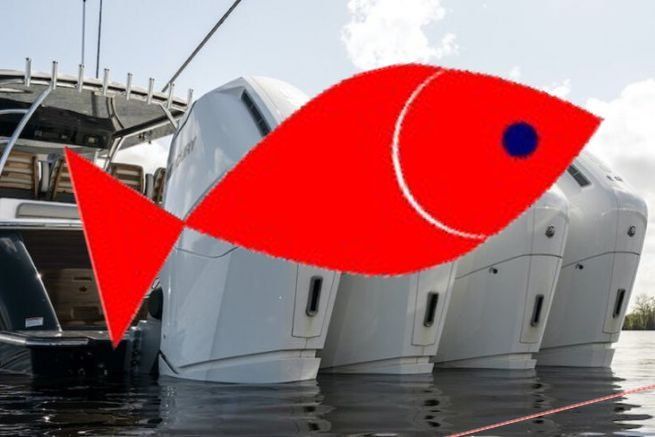 Une exon�ration ? Poisson d'avril !